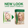 NATURIGIN PLATINUM BLONDE 10.0| AMMONIA-FREE NATURAL HAIR COLOUR