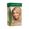 NATURIGIN BEIGE GOLDEN BLONDE 10.3  | AMMONIA-FREE NATURAL HAIR COLOUR