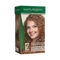NATURIGIN MEDIUM BLONDE 7.0  | AMMONIA-FREE NATURAL HAIR COLOUR